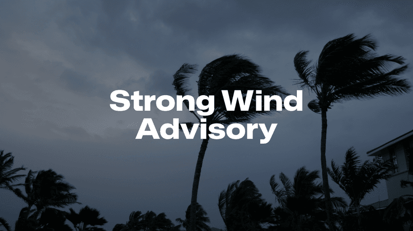 strongwindsgraphic6:8.png